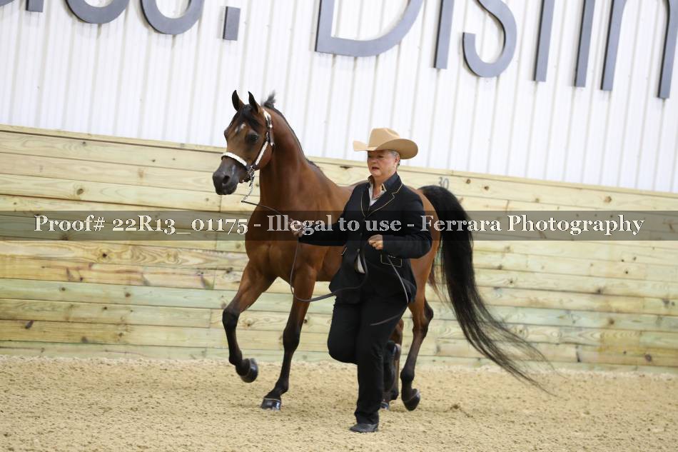 Proof 22R13_01175