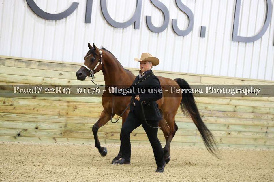 Proof 22R13_01176