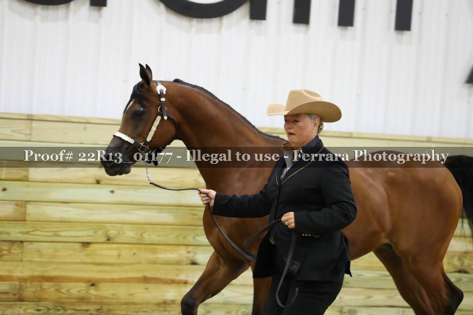 Proof 22R13_01177