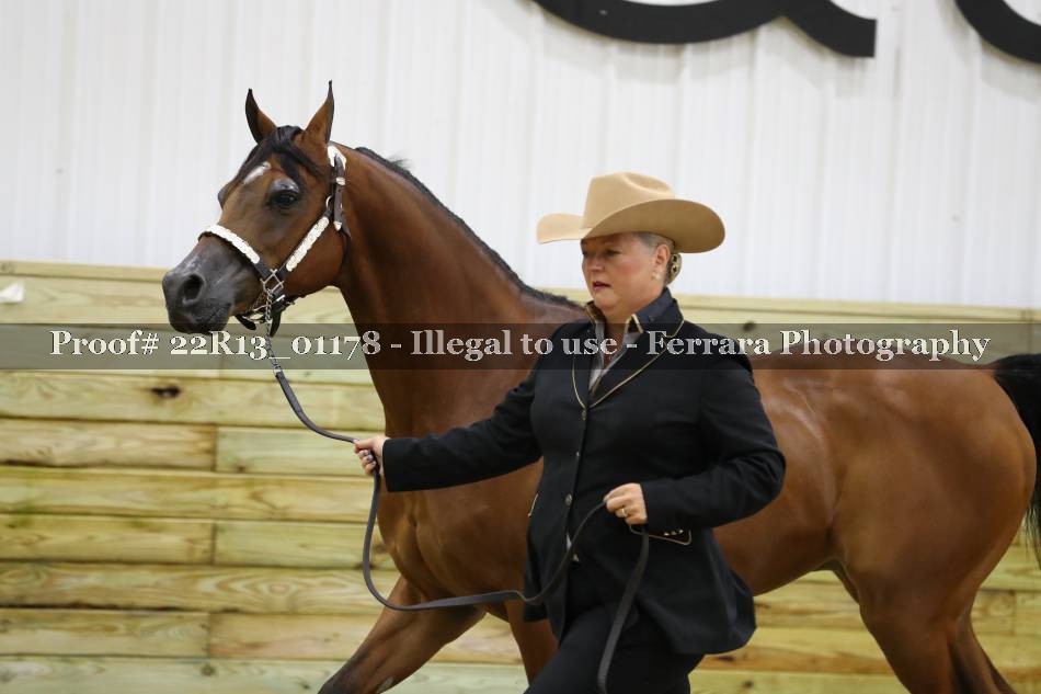 Proof 22R13_01178