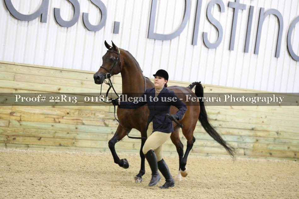 Proof 22R13_01181