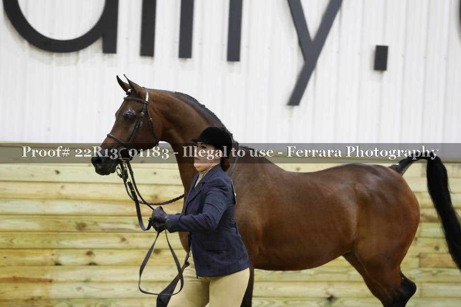Proof 22R13_01183