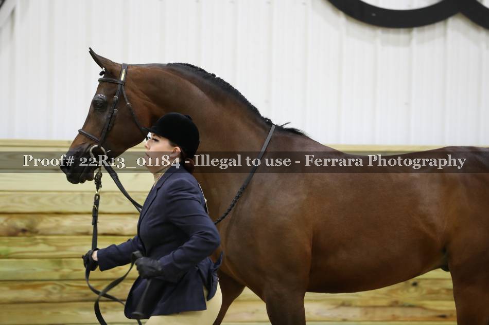 Proof 22R13_01184