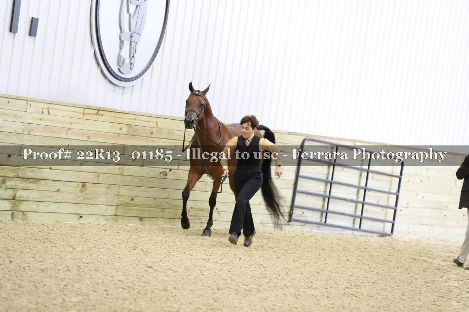 Proof 22R13_01185