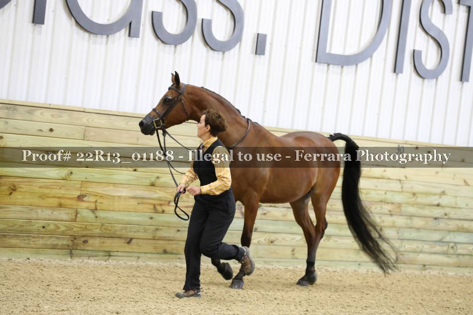 Proof 22R13_01188