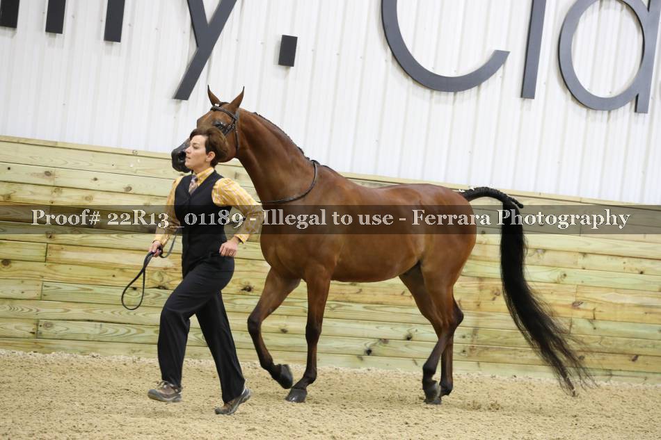 Proof 22R13_01189