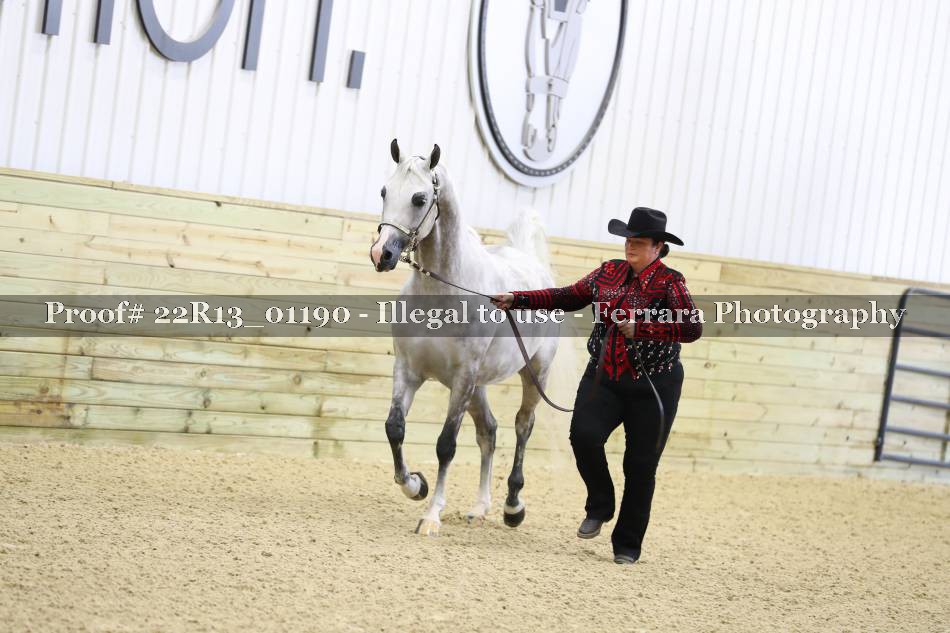 Proof 22R13_01190