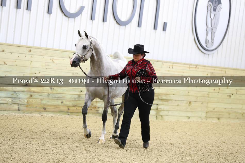 Proof 22R13_01191