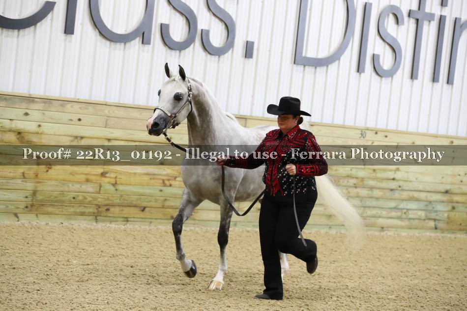 Proof 22R13_01192