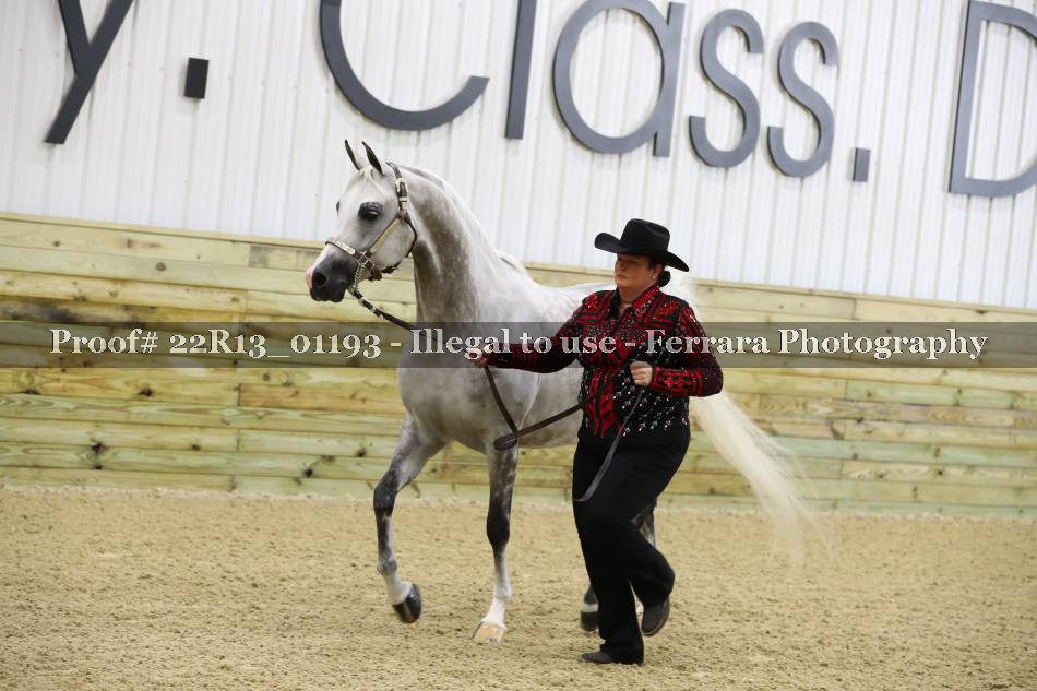 Proof 22R13_01193