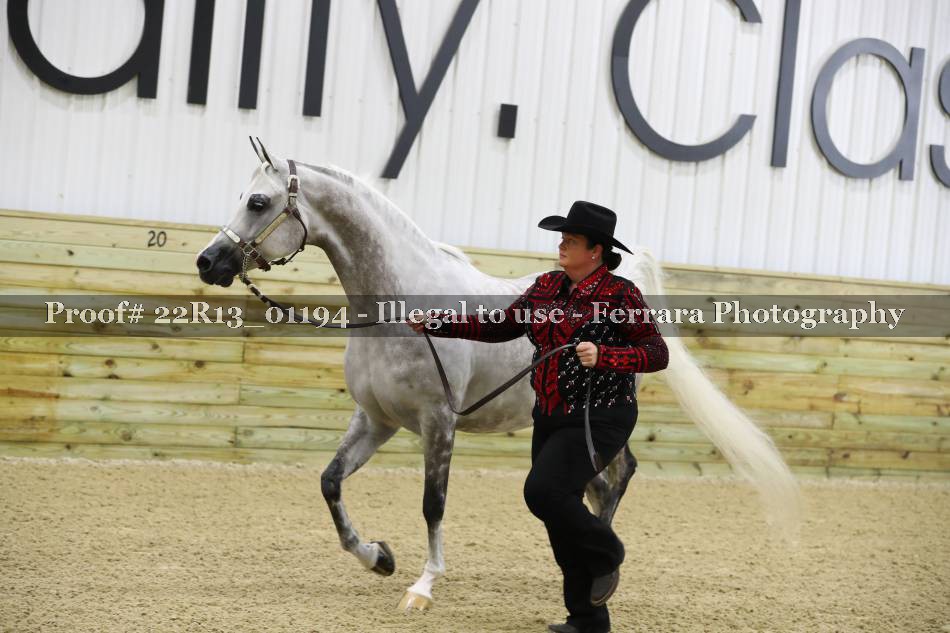 Proof 22R13_01194