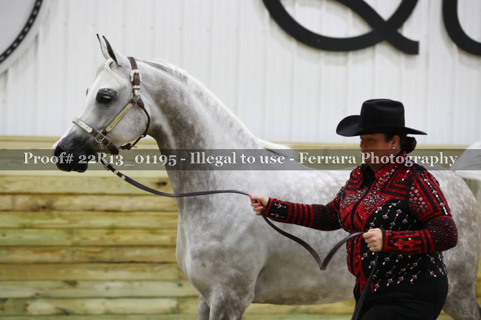 Proof 22R13_01195