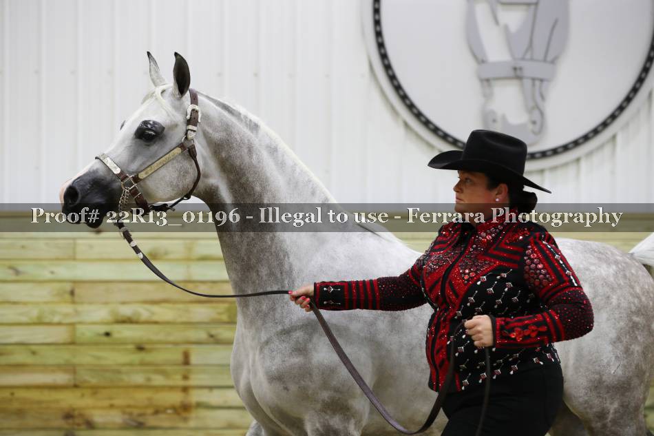 Proof 22R13_01196