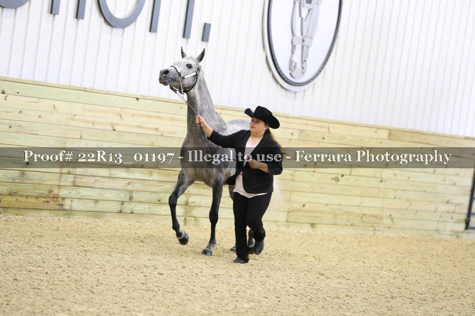 Proof 22R13_01197