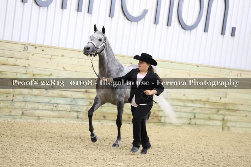 Proof 22R13_01198