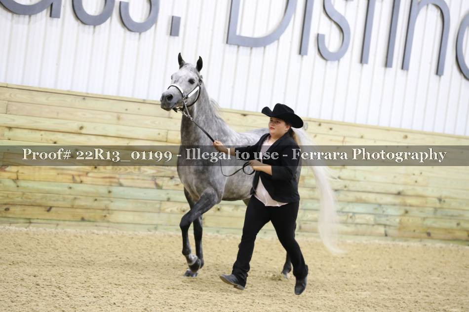 Proof 22R13_01199