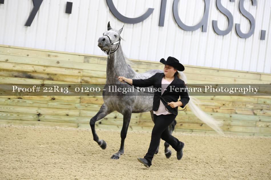 Proof 22R13_01200