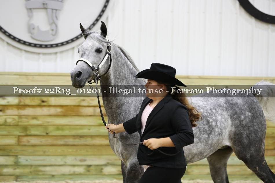Proof 22R13_01201