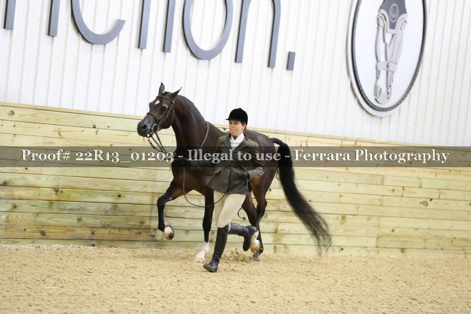 Proof 22R13_01203