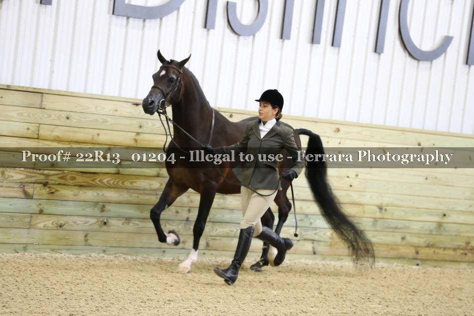 Proof 22R13_01204