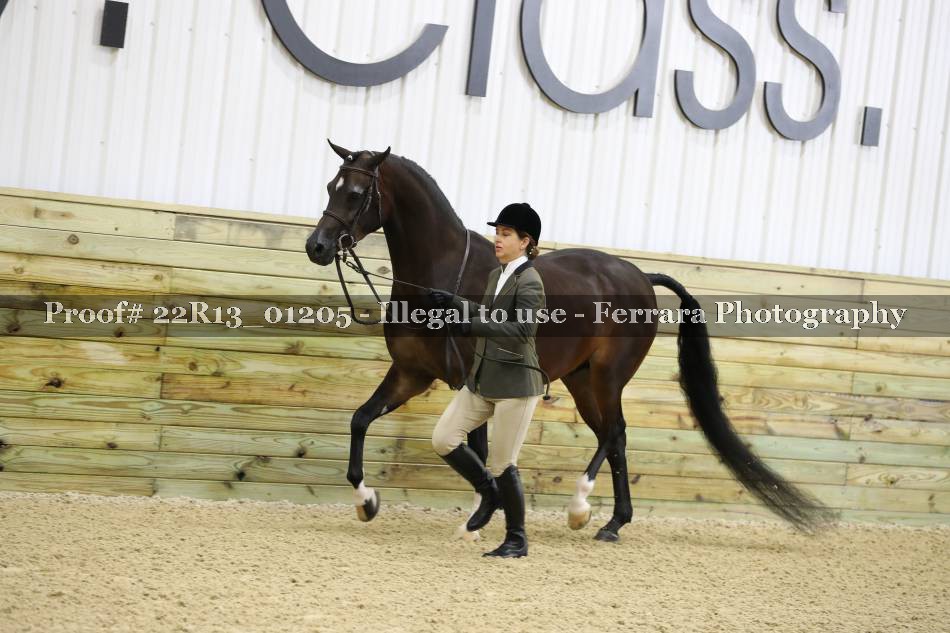 Proof 22R13_01205