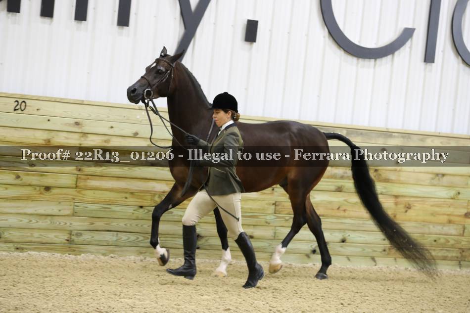 Proof 22R13_01206