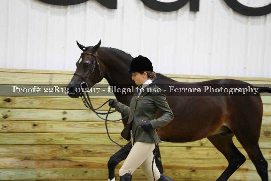 Proof 22R13_01207