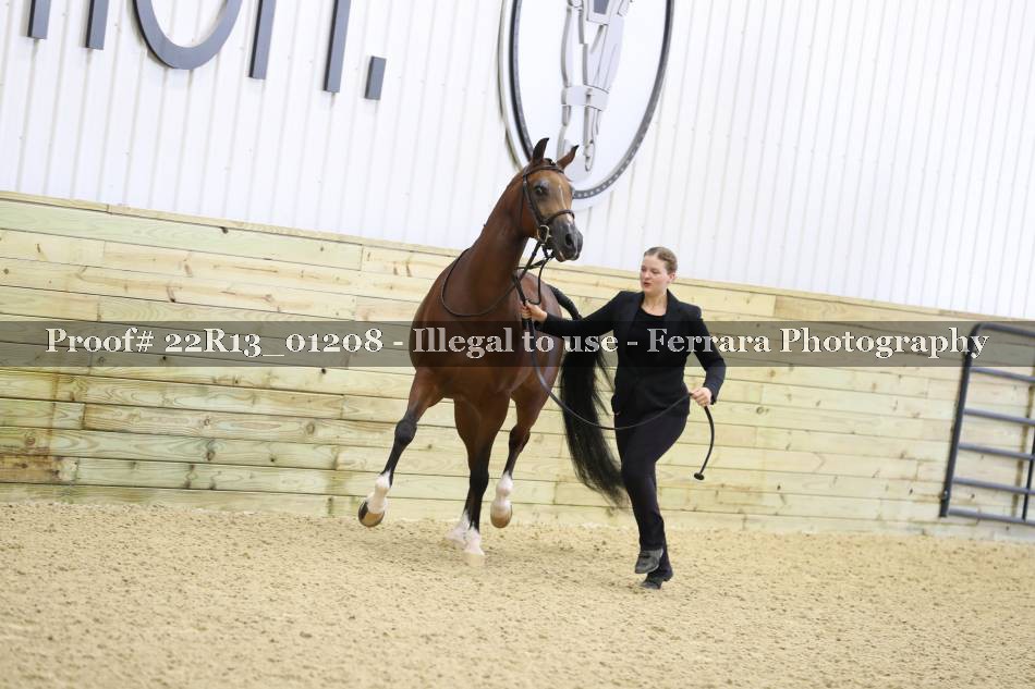 Proof 22R13_01208