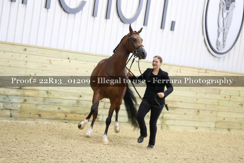 Proof 22R13_01209