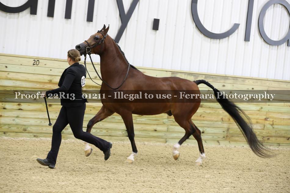 Proof 22R13_01211
