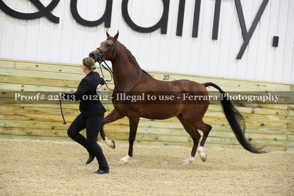 Proof 22R13_01212