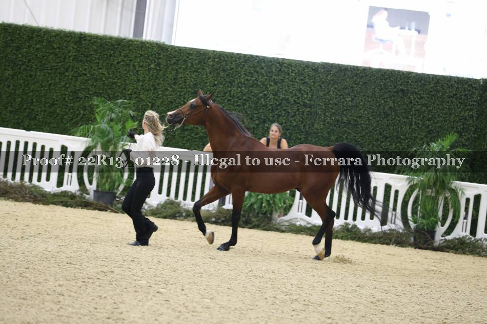 Proof 22R13_01228