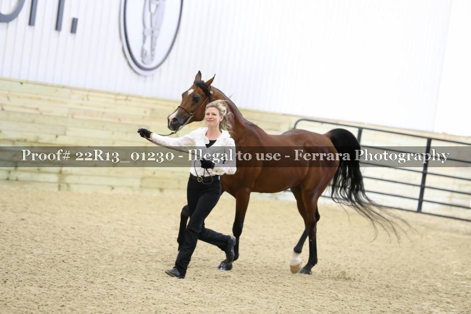 Proof 22R13_01230