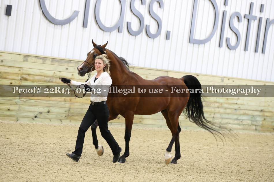 Proof 22R13_01232