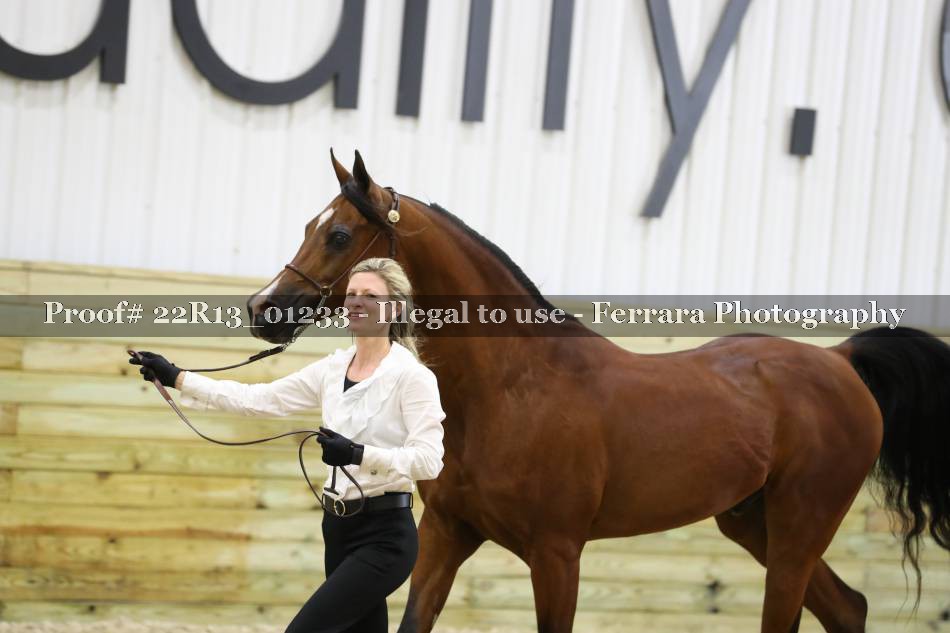 Proof 22R13_01233