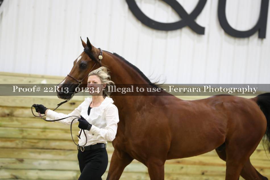 Proof 22R13_01234