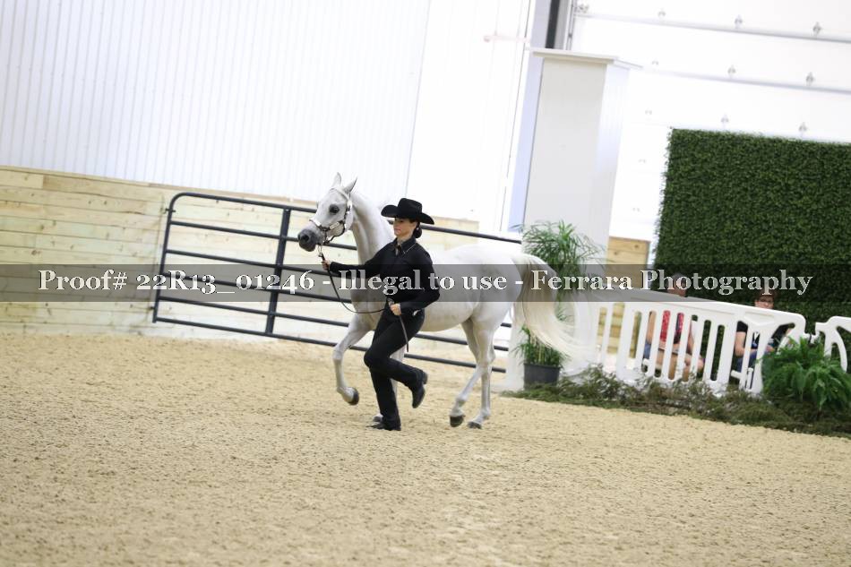 Proof 22R13_01246