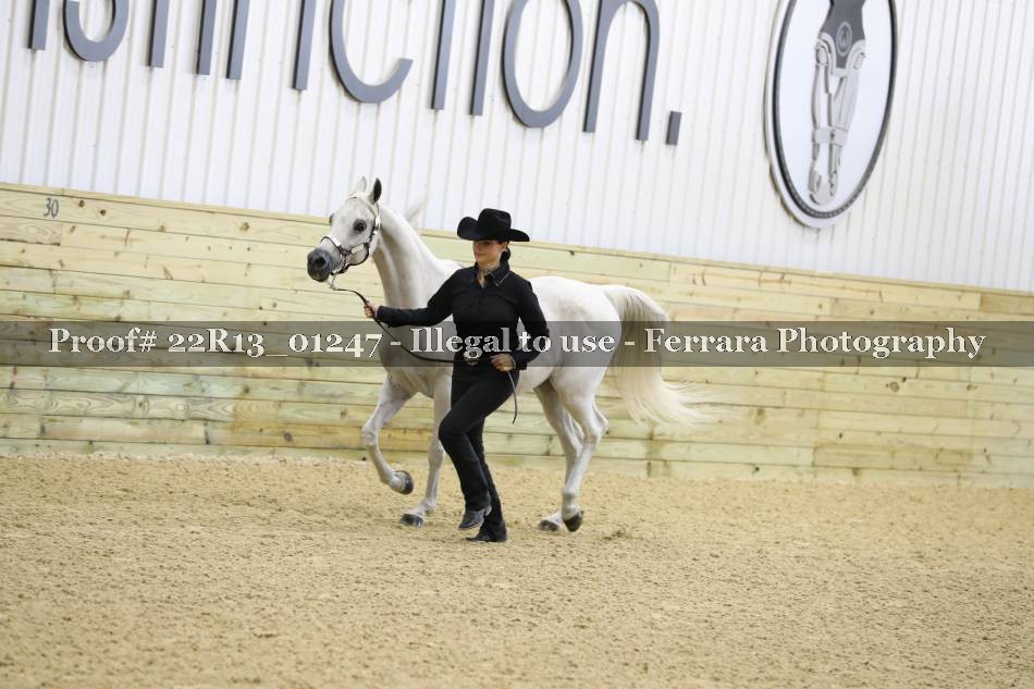 Proof 22R13_01247