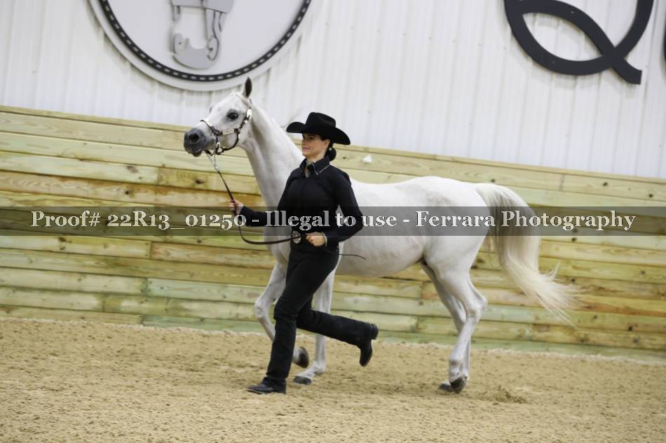 Proof 22R13_01250