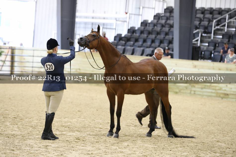 Proof 22R13_01254