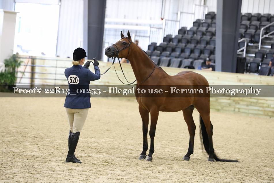 Proof 22R13_01255