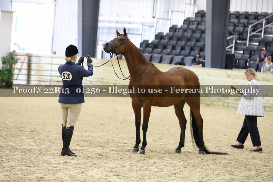 Proof 22R13_01256