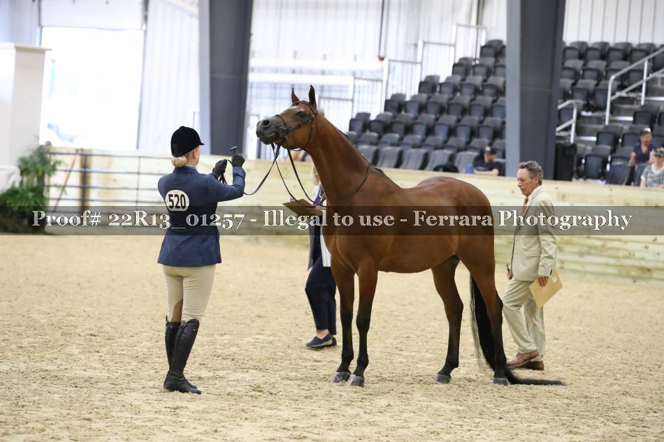 Proof 22R13_01257