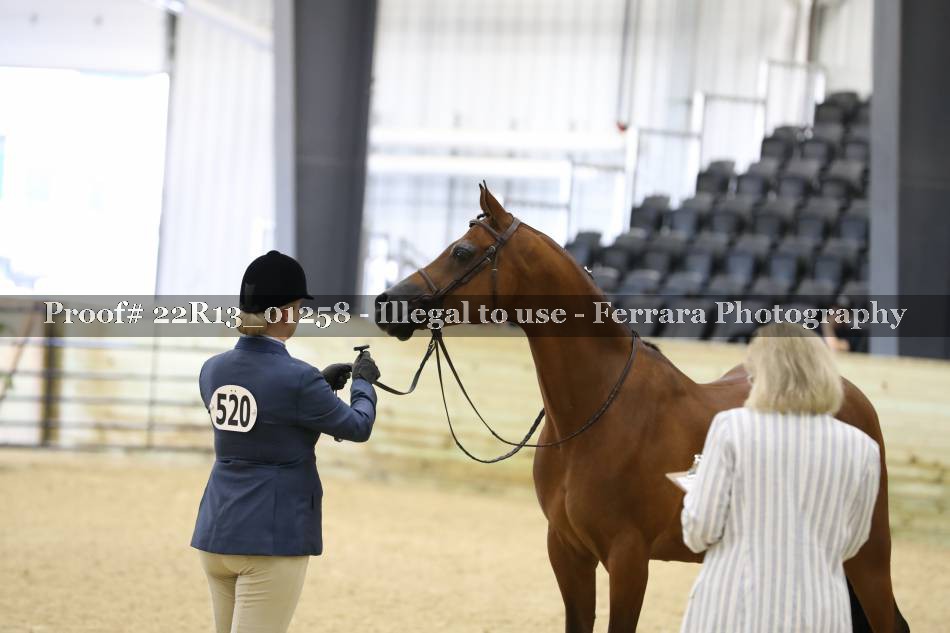 Proof 22R13_01258