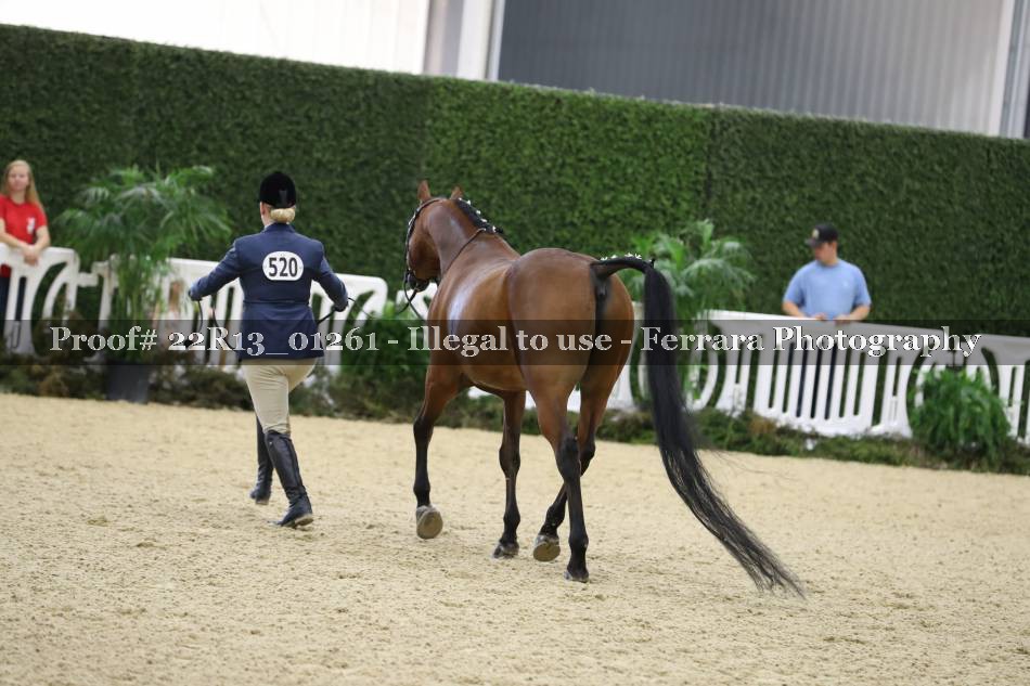 Proof 22R13_01261