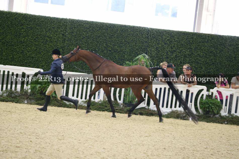 Proof 22R13_01262