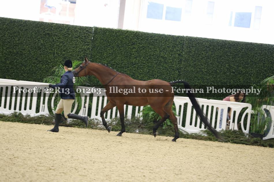 Proof 22R13_01263