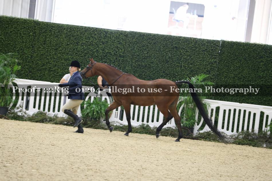 Proof 22R13_01264