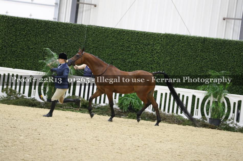 Proof 22R13_01265