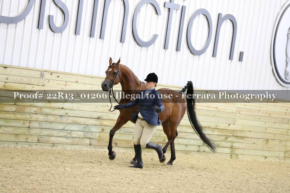 Proof 22R13_01266